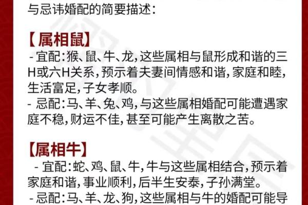 男属羊女属鼠的婚姻匹配度分析与建议