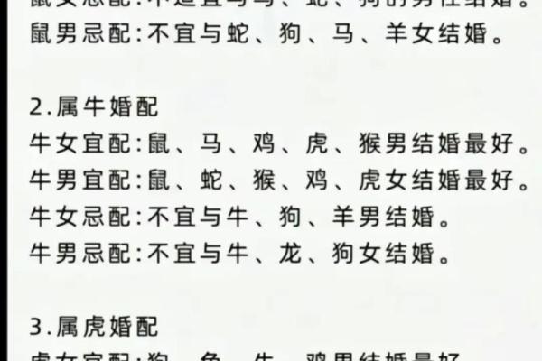 鼠男与兔女的性格契合度如何
