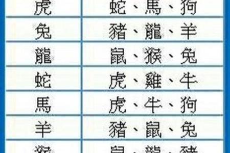 猴与其他生肖的最佳配对关系