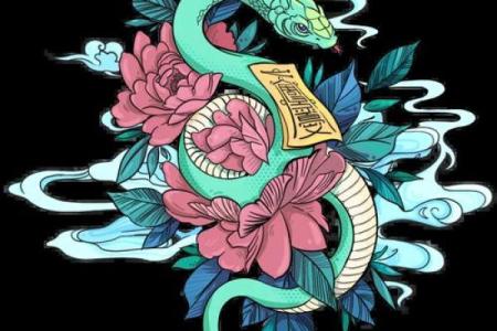 本命年属蛇如何通过努力实现目标