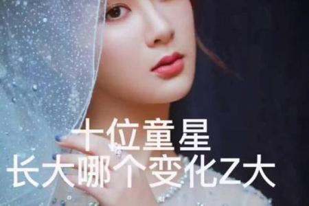 童星名字背后的故事与成长历程