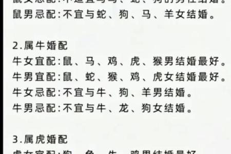 鼠男与兔女的性格契合度如何