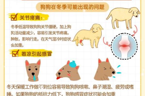羊与狗如何成为完美搭档 养宠技巧解析 羊与狗如何成为完美搭档 养宠技巧解析