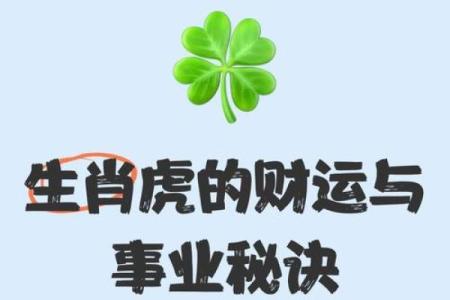 属虎本命年如何提升职场竞争力