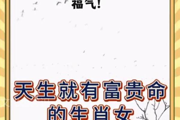 本命年牛女如何提升家庭成员的幸福感