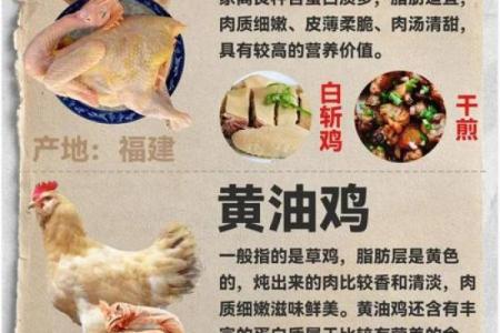 养殖业中的牛与鸡相配性分析