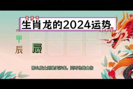 本命年龙女如何在挑战中发现机遇