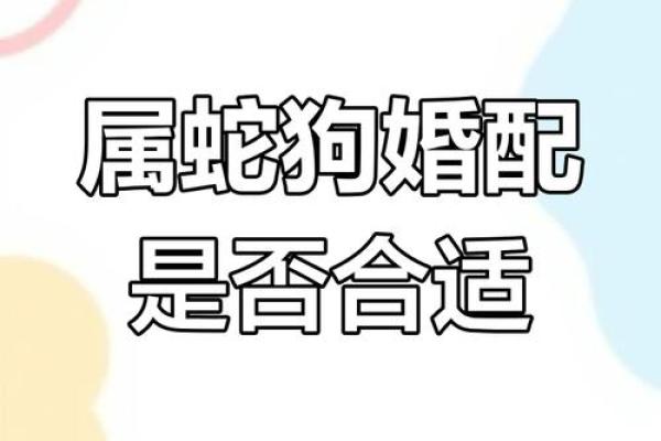 蛇男和牛女的婚姻配对解析