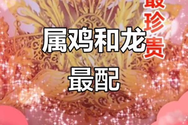 属龙男与属鸡女适合做伴侣吗？