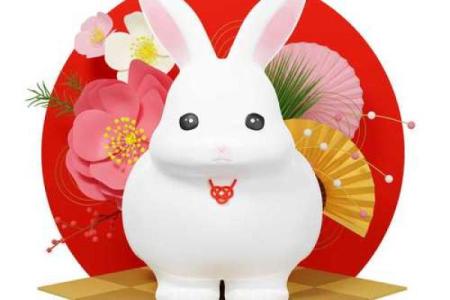 属兔人本命年如何应对突如其来的挑战