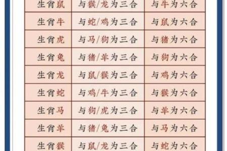 女马与男虎的缘分 解读生肖配对中的相互影响