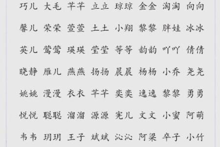 最可爱的名字：给宝宝起名的灵感与创意