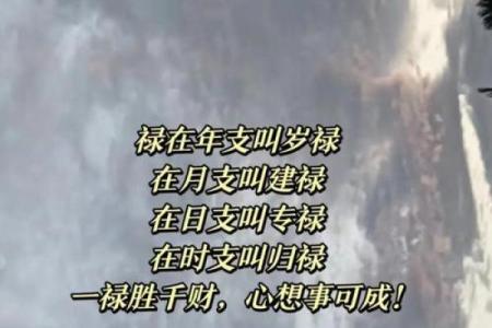 一眼看出旺夫命：生辰八字中隐藏的成功密码