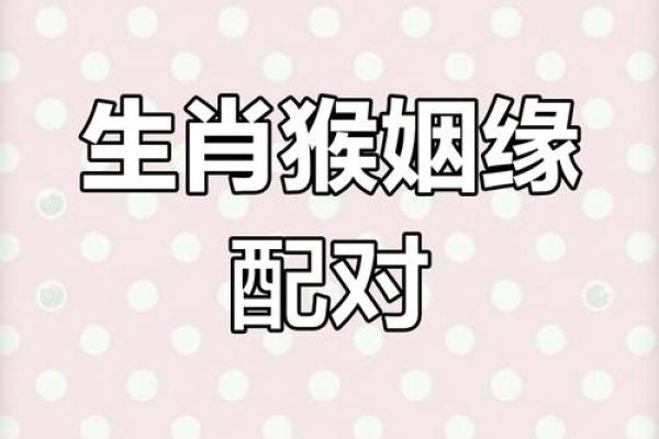 属虎和属猴配对的婚姻运势 如何提升相互默契 属虎和属猴配对的婚姻运势 如何提升相互默契