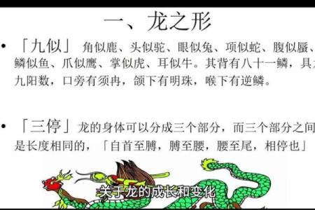 探索龙与龙配对的命运与和谐