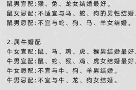 解析男鼠与女兔的婚姻相配指数
