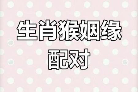 属虎和属猴配对的婚姻运势 如何提升相互默契
