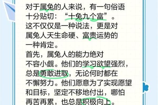 属兔人在本命年如何调节工作压力 属兔人在本命年如何调节工作压力
