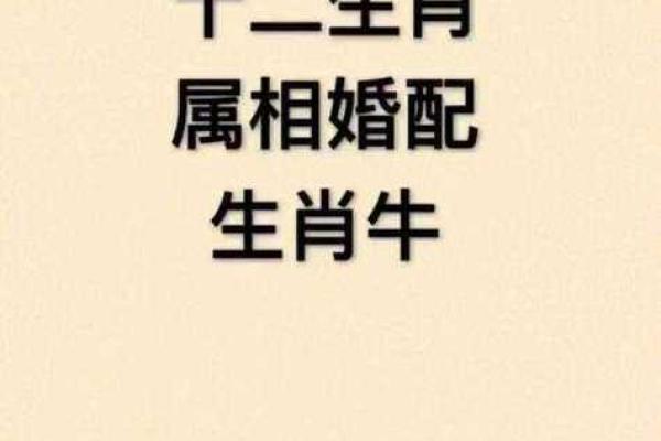 属牛与属马的配对建议:理性与热情的平衡 属牛与属马的配对建议:理性与热情的平衡