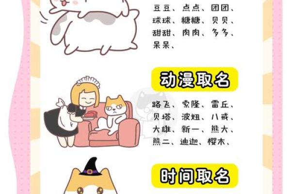 适合猫咪的霸气名字大全 打造专属的猫咪气场
