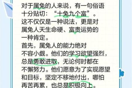 属兔人在本命年如何调节工作压力