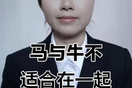 属牛与属马的配对建议：理性与热情的平衡