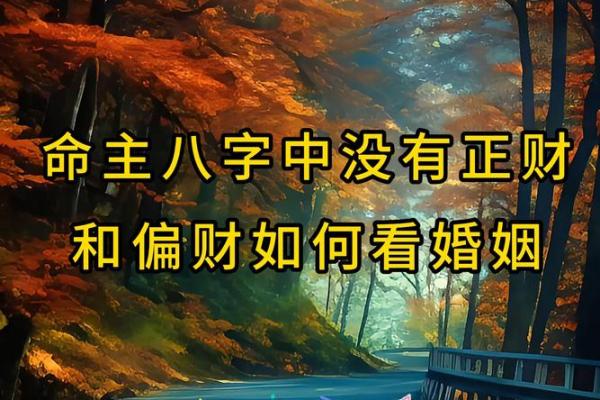 生辰八字偏冲揭秘：它会如何影响你的事业与婚姻？
