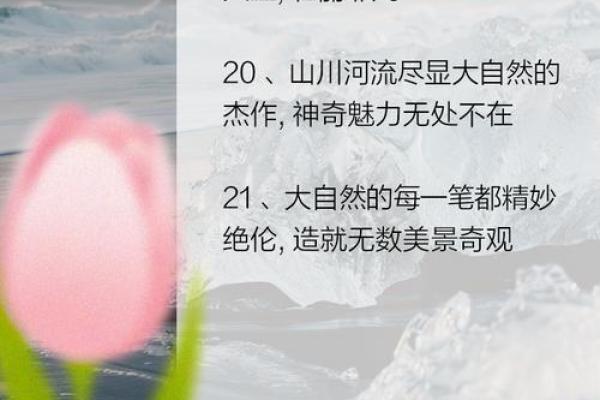 探索大自然的灵感：为新生儿取名的自然之美