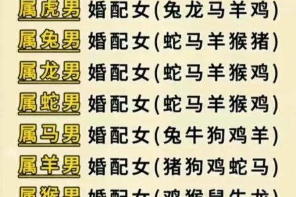 解析虎男猪女配对的优缺点 解析虎男猪女配对的优缺点