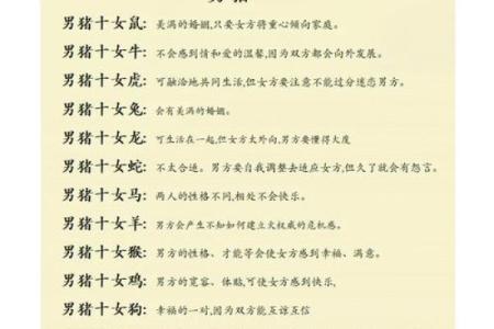 解析虎男猪女配对的优缺点