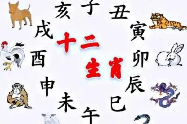 猪兔相配吗?从生肖角度解读两者的合适度 猪兔相配吗?从生肖角度解读两者的合适度