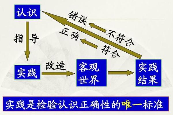 解读库命的基本概念与开发实践