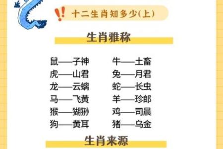 猪兔相配吗？从生肖角度解读两者的合适度