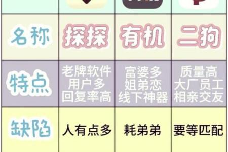 探索名字检测在社交平台中的应用