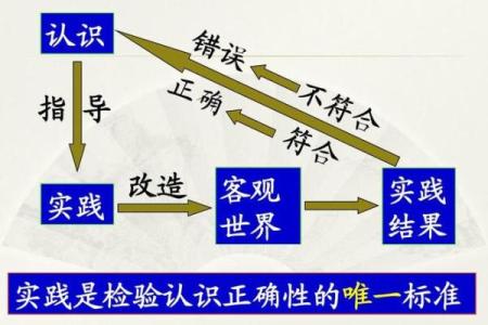 解读库命的基本概念与开发实践