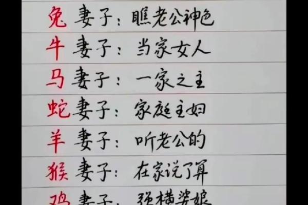 解密蛇与狗的爱情与性格契合度 解密蛇与狗的爱情与性格契合度