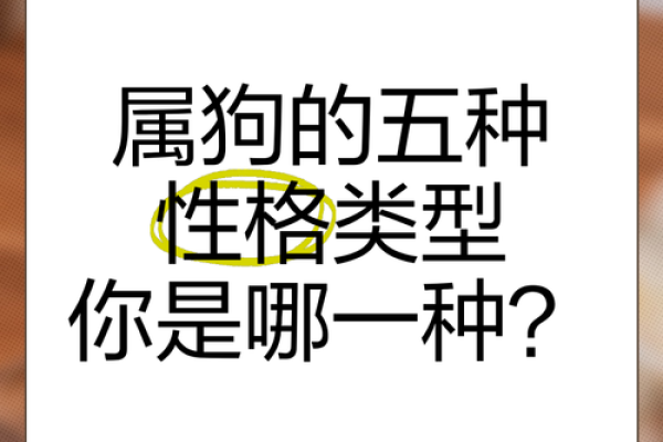 从性格到生活方式 如何找到与自己最合适的狗 从性格到生活方式 如何找到与自己最合适的狗