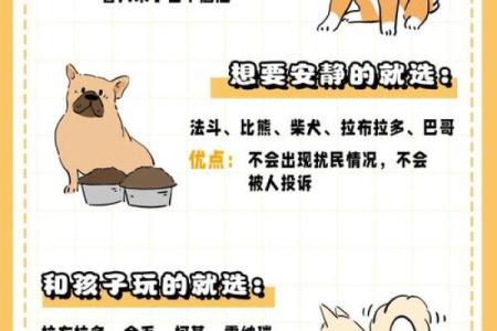 从性格到生活方式 如何找到与自己最合适的狗