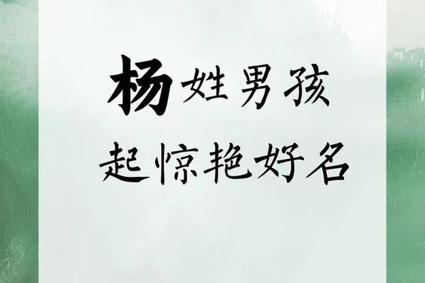 探索杨氏名字的来源与寓意