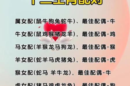 男鼠与女牛的爱情契合度探讨