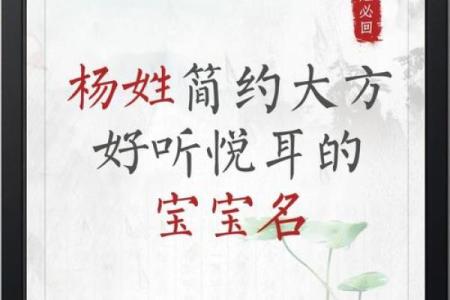 探索杨氏名字的来源与寓意
