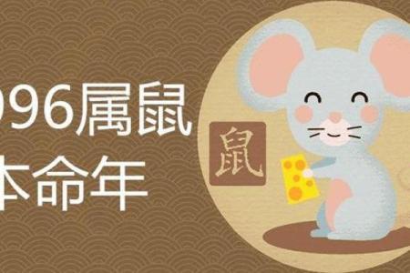 鼠男本命年如何培养新兴趣爱好