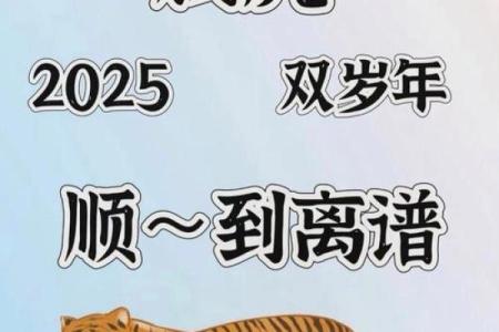 本命年虎男的财运提升技巧