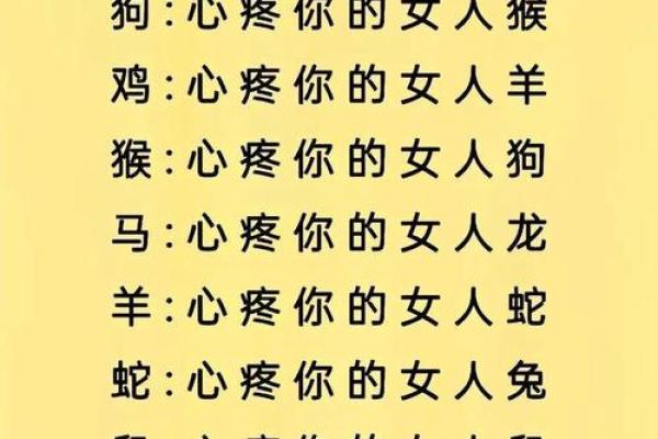 狗鼠属相配对:缘分深浅与性格匹配 狗鼠属相配对:缘分深浅与性格匹配