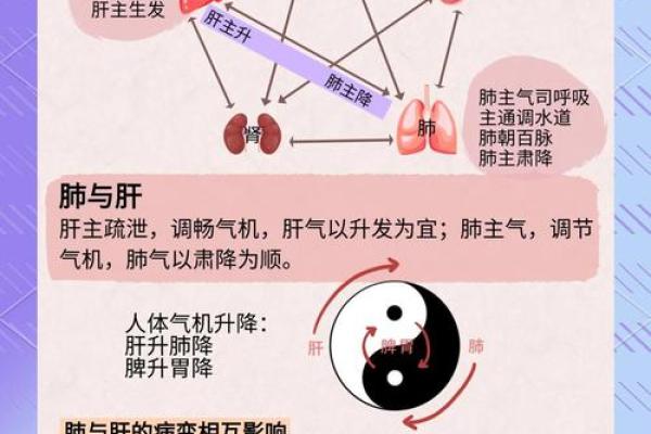 火命水月的五行相生相克探讨 火命水月的五行相生相克探讨