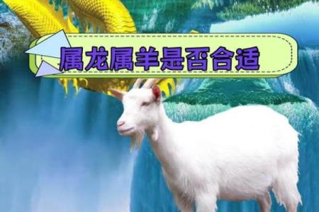 男牛女龙的婚姻是否长久？解析两者的性格差异与契合点