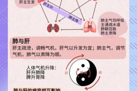 火命水月的五行相生相克探讨