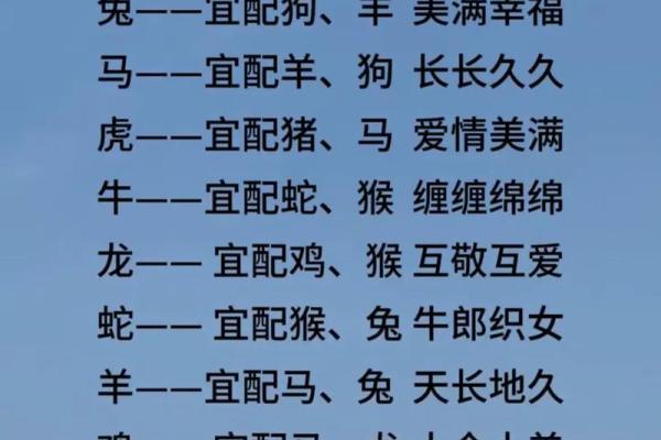 兔女与狗男的爱情运势 解读最佳配对度 兔女与狗男的爱情运势 解读最佳配对度