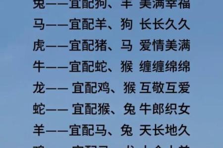 兔女与狗男的爱情运势 解读最佳配对度