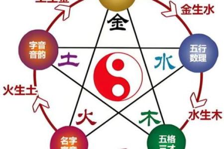 金命水命的奥秘与命理解析